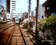 都電荒川線三ノ輪橋